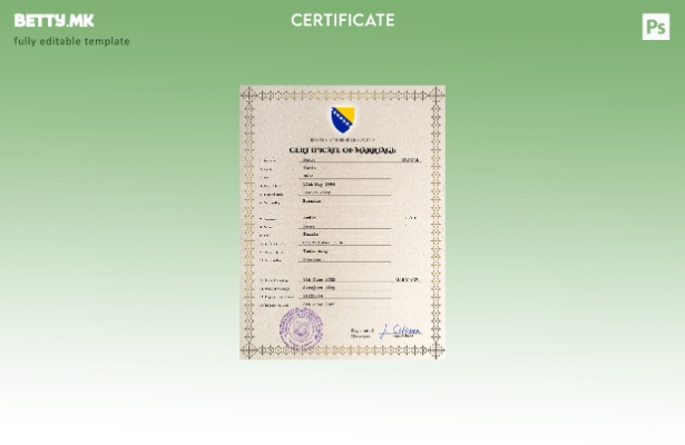 модерен стил на Босна и Херцеговина, шаблон PSD, шаблон за извод на брак